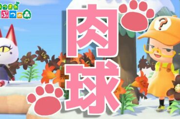 【あつ森】オリビアの肉球、いただきます！！！【あつまれどうぶつの森】