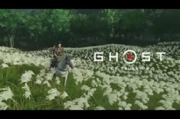 【ゴースト・オブ・ツシマ】#２　あ、これ大河ドラマやったっけ。