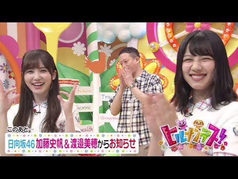 ヒルナンデス!2020年8月13日 『日向坂46 加藤史帆＆渡邉美穂が』 [ 𝓕𝓤𝓛𝓛 𝓢𝓗𝓞𝓦 ]