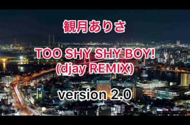 観月ありさ『TOO SHY SHY BOY!』djay REMIX(version 2.0) 歌詞付き