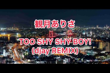 観月ありさ『TOO SHY SHY BOY!』(djay REMIX)歌詞付き