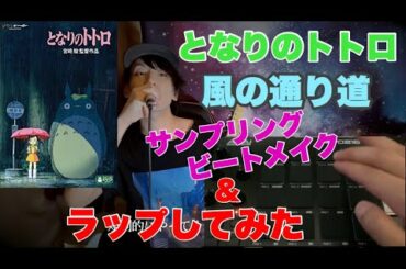 【Remix】「 となりのトトロ」の「風のとおり道」をサンプリングしてビートを作ってラップしてみた 【Hip Hop】