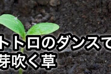 【声真似】トトロのダンスで芽吹く草(となりのトトロ)