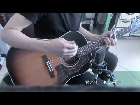ナイロンの糸/サカナクション　弾き語りカバー【Guitar loop】
