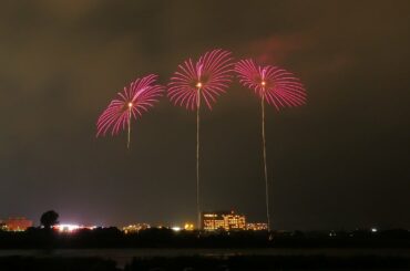 2020【長岡】打ち上げよう皆で花火プロジェクト（最初に終戦記念日追悼の白菊？）