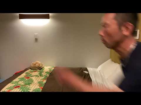 朝倉未来に負けてへずまりゅうに凸されたぐらいでシバターYouTube辞めないでくださいm(._.)m