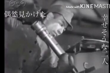 終戦記念日MAD〜零れ桜〜