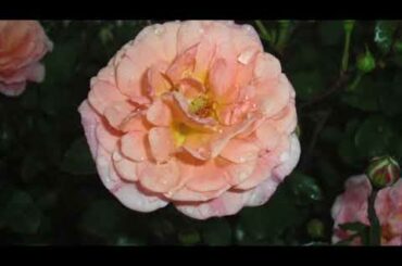 First Love - 宇多田ヒカル / ピアノ