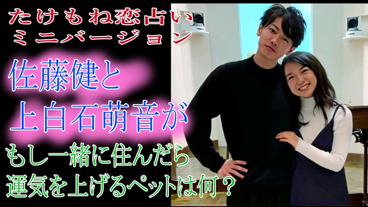たけもね恋占いミニバージョン　佐藤健と上白石萌音がもし一緒に住んだら運気を上げるペットは何？