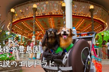 今月末閉園する「としまえん」に夕方から行ったダックス達 Kaninchen Dachshund went to the historic "Toshimaen" amusement park.