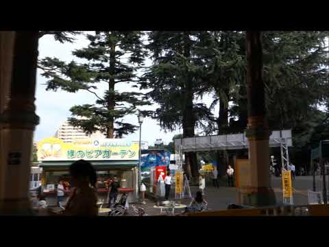 【としまえん閉園記念アーカイブ】 カルーセルエルドラド 主観映像 【としまえん閉園記念アーカイブ】 カルーセルエルドラド 主観映像