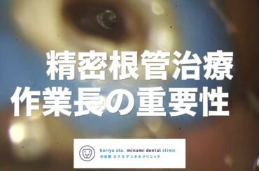 精密根管治療 　【愛知県刈谷市の歯医者】　作業長の重要性　One Visit Root Canal Therapy　オンライン診療　自由診療　顕微鏡歯科　マイクロスコープ　Kariya city