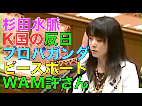 杉田水脈　K国の反🇯🇵プロパガンダ・ピースボート・WAMけしからん!!