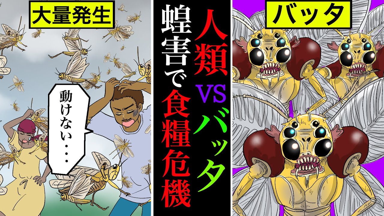 【緊急事態】4000億匹のバッタが人類を襲う!?蝗害による食糧危機で緊急事態宣言!【雑学漫画】 【緊急事態】4000億匹のバッタが人類を襲う!?蝗害による食糧危機で緊急事態宣言!【雑学漫画】