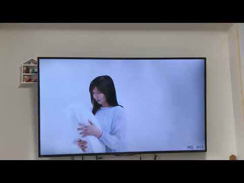 一瞬だけど豊田真由子がテレビに映った瞬間