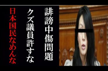 【日本国民なめるなよ】杉田議員がヤバすぎる　伊藤詩織さん、杉田議員を提訴　SNS中傷への「いいね」は名誉侵害　底辺Youtuberが語る
