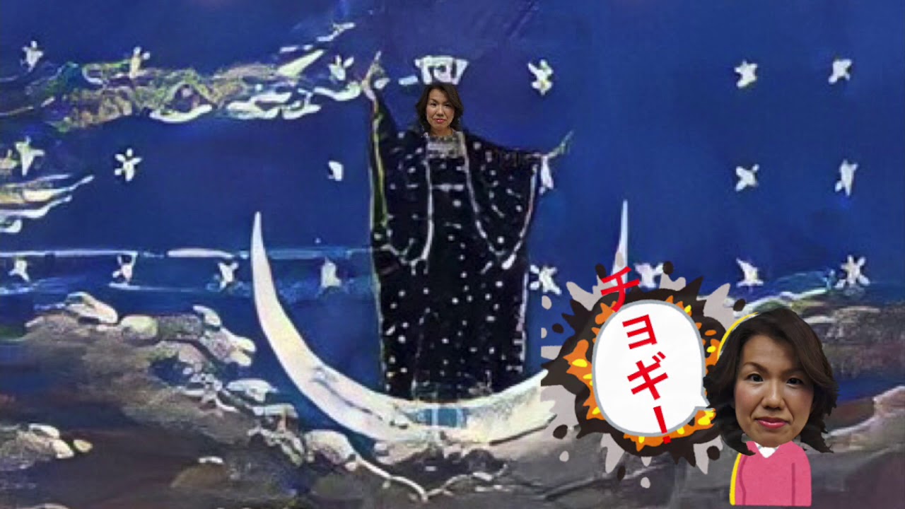 【このハゲ】夜の真由子のアリア (豊田真由子) 【このハゲ】夜の真由子のアリア (豊田真由子)