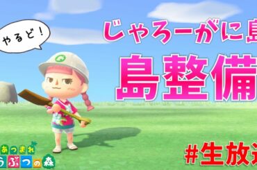 ＃生放送【あつまれどうぶつの森】まったり島整備するぞ！