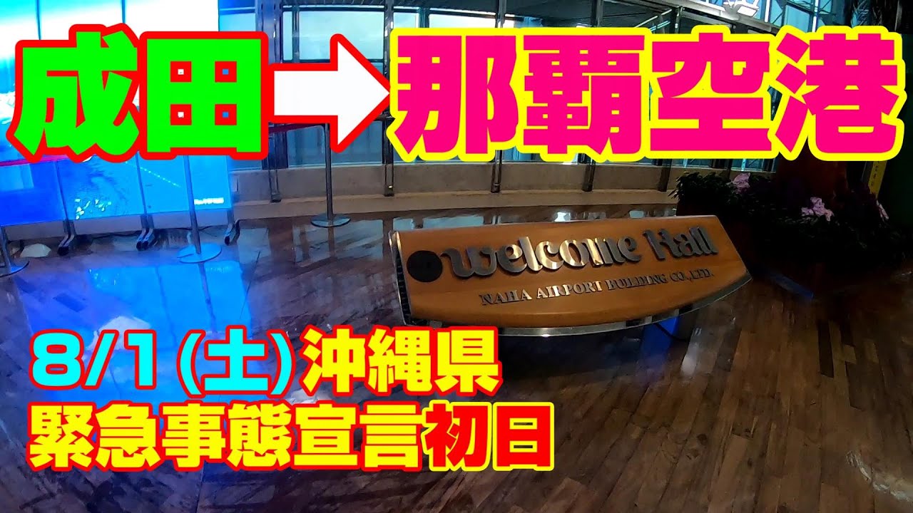 【空港】沖縄県緊急事態宣言初日！ 成田空港→那覇空港 の現状レビュー！