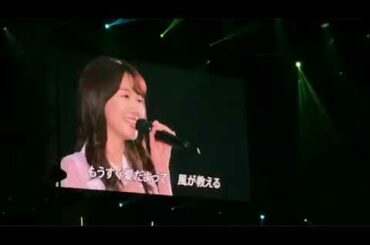 AKB48 Kashiwagi Yuki (柏木由紀) -  Kimi wa Boku da (君は僕だ)
