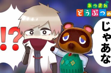 今日だけはたぬきちが主役です【あつ森/あつまれどうぶつの森】