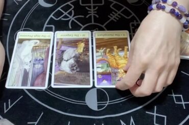 春馬くん　転居の理由