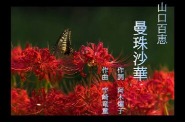 曼珠沙華/山口百恵－cover－