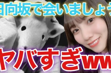 【日向坂46】〝ひなあい〟がヤバすぎる...（日向坂で会いましょう）