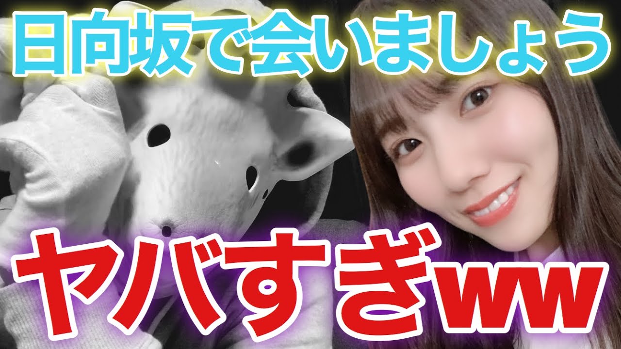 【日向坂46】〝ひなあい〟がヤバすぎる…(日向坂で会いましょう) 【日向坂46】〝ひなあい〟がヤバすぎる...(日向坂で会いましょう)