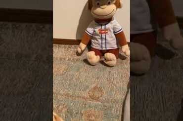 コロナの症状を抑える方法がフィリピンで発見される！！フィリピンで患者数が激減している理由！