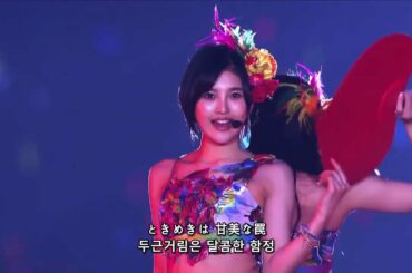 [한글자막] AKB48 - Fushidara na Natsuふしだらな夏 / AKB48 Young Members Nationwide Tour