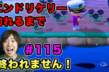 【あつまれどうぶつの森】エンドリケリー釣れるまで終われません！のはずが神引き連発！#115
