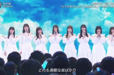 日向坂46「日向坂」