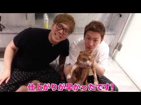 YouTuber ヒカキンさん&佐藤健さん　コラボ動画まとめ2話分
