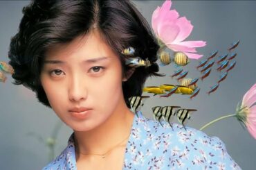 山口百恵！琥珀の季節！