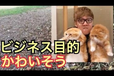 もふこ Yayafa もふこ Yayafa
