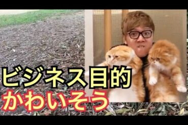 ヒカキンの飼い猫はビジネス目的でしょ                                         （HIKAKIN 佐藤健 コラボ 炎上 ボイパ まるお もふこ 芸能人 出演 家）