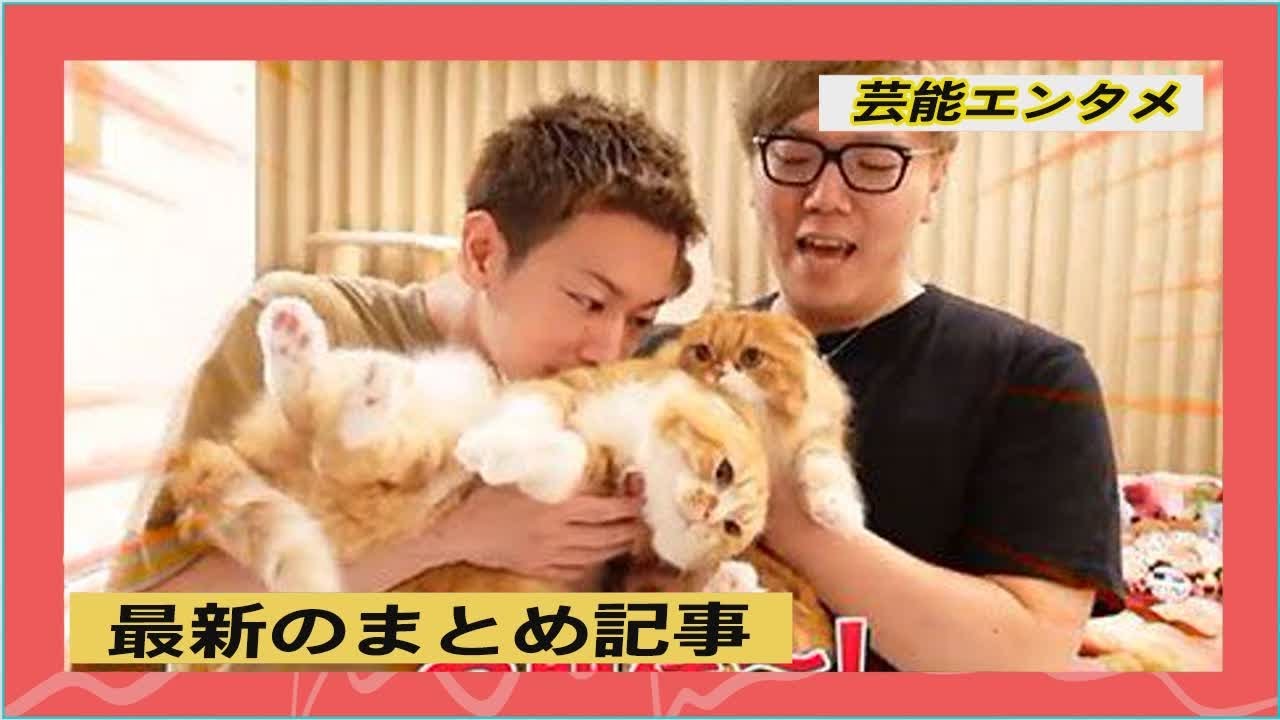 「なでられたい人生」「たまりません」　佐藤健、ヒカキンの愛猫まるお＆もふこをシャンプーする姿にファンもん絶
