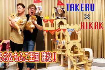 「Takeru×Hikakin / まるお＆もふこに猫のお城をプレゼントしました」