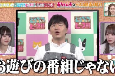 日向坂にプレッシャーをかけるオードリー【どうぶつピース】