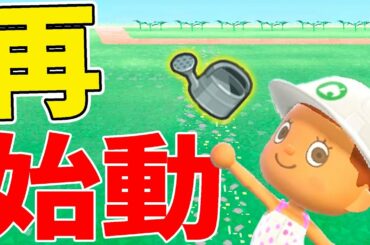 【カズ森】再挑戦！またイチから始めます！！ あつまれどうぶつの森 PART156