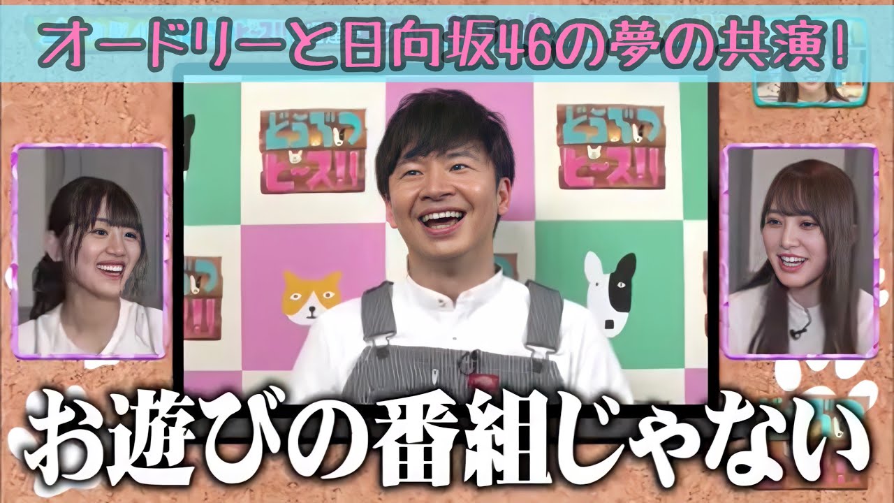 どうぶつピースでのオードリーと日向坂46!ひなあいについて若林が爆弾発言! どうぶつピースでのオードリーと日向坂46!ひなあいについて若林が爆弾発言!