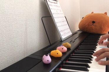 day 113【ピアノ初心者】ハッピーバースデーの曲  浜辺美波さん誕生日おめでとうございます！