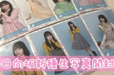 日向坂 新種 生写真 開封