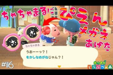 #116【あつまれどうぶつの森】ちゃちゃまるにぴえんメガネを渡したら違和感が仕事しないｗｗｗ