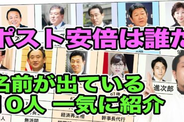 ポスト安倍候補者10人！まとめて紹介！！（麻生太郎、石破茂、岸田文雄、野田聖子、河野太郎、菅義偉、小泉進次郎ほか）