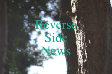 「愛媛県警自白強要」「稲田朋美ら自民党議員に献金」「パリ警視庁で殺傷」「いじめ訴訟、防衛大側認めず」「日本のアマゾン物流センター5年で5人死亡」「」