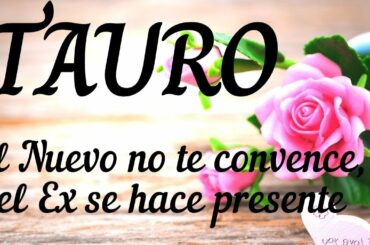 TAURO ♉ EL NUEVO NO TE CONVENCE 🤔 EL EX SE HACE PRESENTE 😫