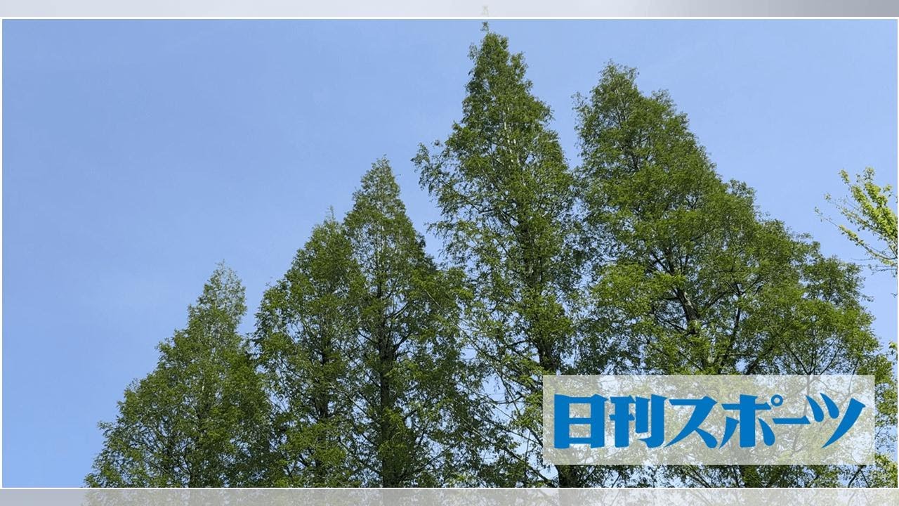 濱崎麻莉亜さんは自殺か　ＡＢＥＭＡ婚活番組を中止