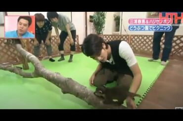 三浦春馬の動画は未発表 |志村ZOO | 三浦春馬は動物が好きらしい | 三浦春馬はとてもかわいい